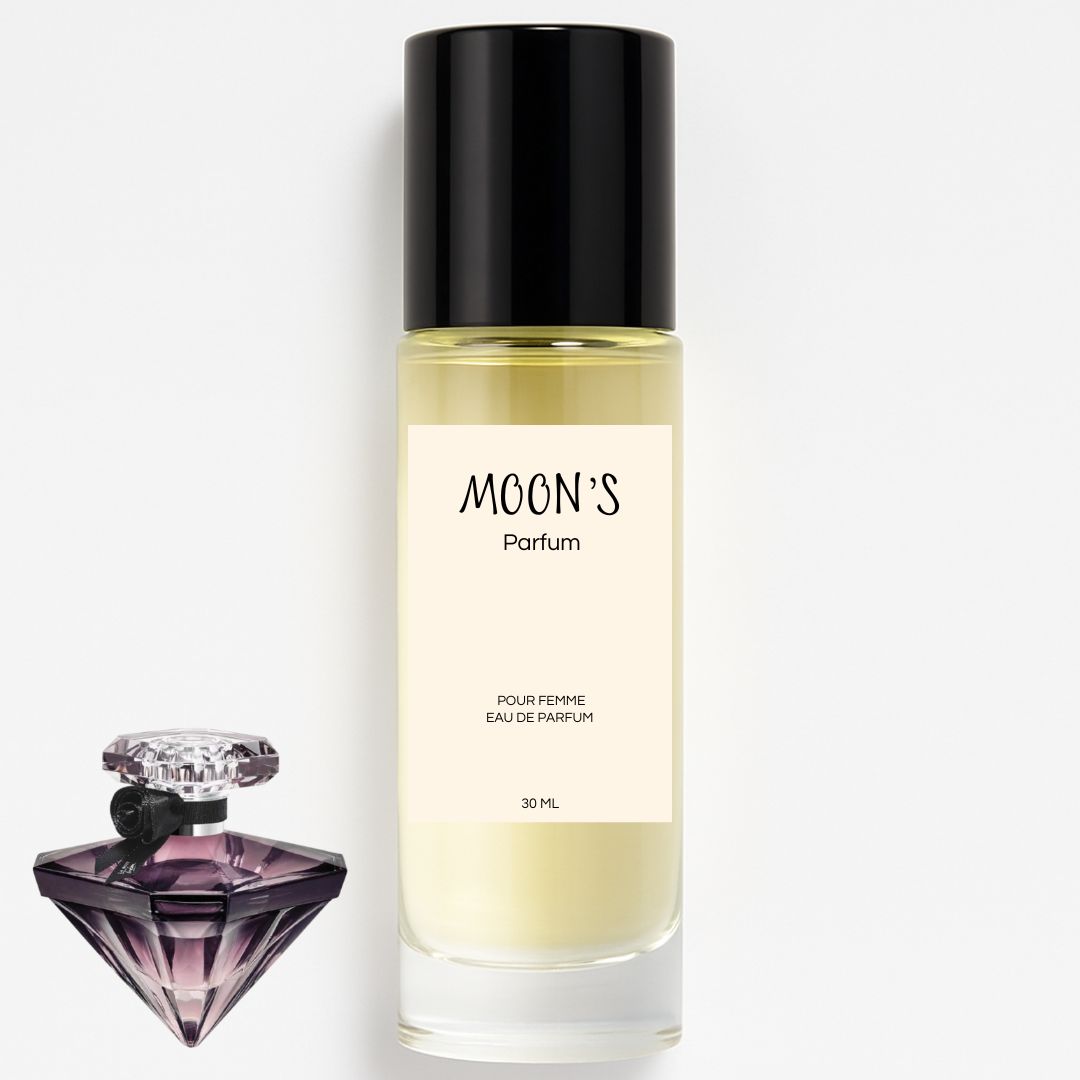 MF027 - Type La nuit tresor